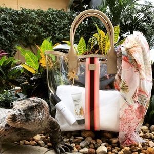 INDIA HICKS PINK SANDS CLEAR TOTE